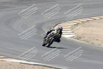 media/Apr-20-2025-CVMA (Sun) [[39090e8767]]/Race 11-500-350 Supersport (Holeshot)/